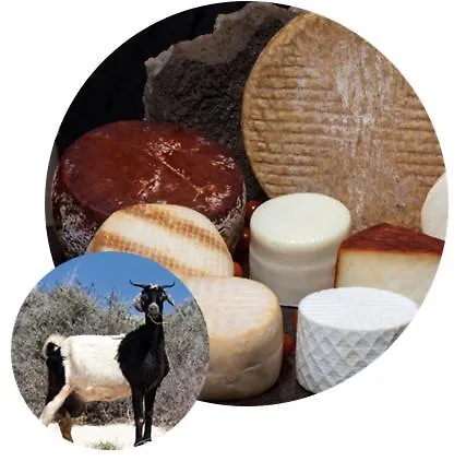 1 El Vergel * אנטיגואה