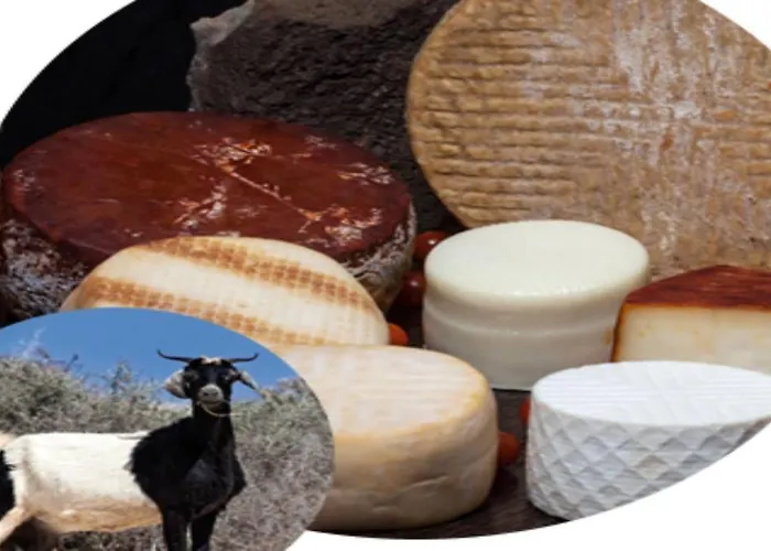 1 El Vergel Tatil Evi