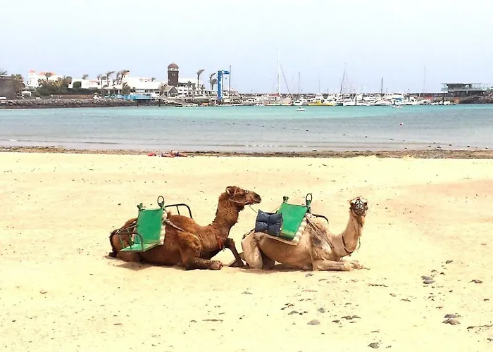 1 El Vergel * Antigua (Fuerteventura)