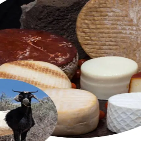 1 El Vergel Tatil Evi