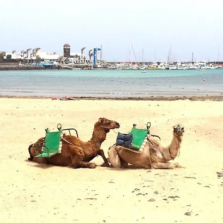 1 El Vergel * Antigua (Fuerteventura)